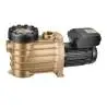 Pompa basenowa BADU Bronze Eco VS - do 28 m³/h
