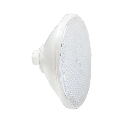 Żarówka LED biała PAR56