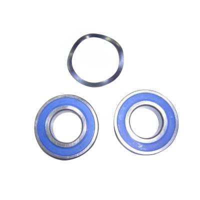 łożyska do pompy AstralPool Maxim 4405010342