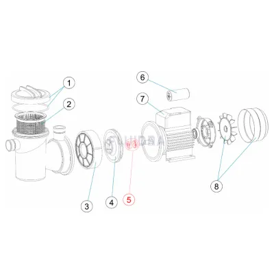 Uszczelnienie mechanicze pompy X-PERT