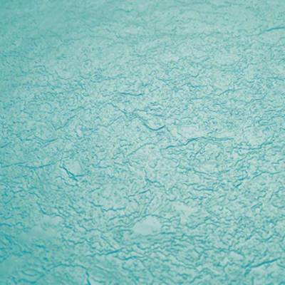 Relief Caribbean Green Renolit Alkorplan