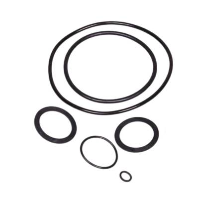 komplet O-ringów do pompy basenowej Victoria Plus Silent 4405010860