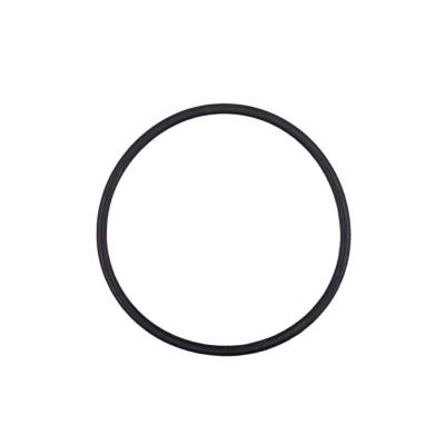 Oring pokrywy pompy AstralPool 4405010178