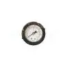 Manometr filtra basenowego Pentair Triton 3/8"