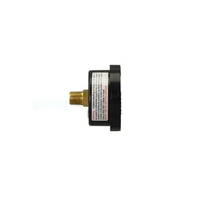 Manometr filtra Pentair 3/8"