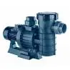 Pompa basenowa AstralPool Maxim 4,5 HP - 74 m³/h