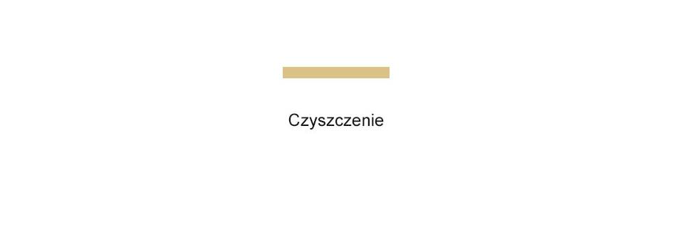 Środki do czyszczenia basenu - profesjonalne preparaty czyszczące