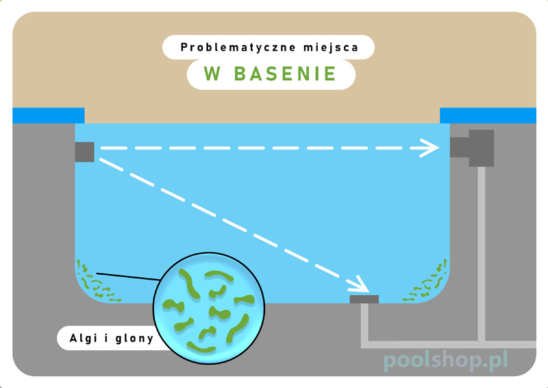 miejsce powstawania glonów w basenie