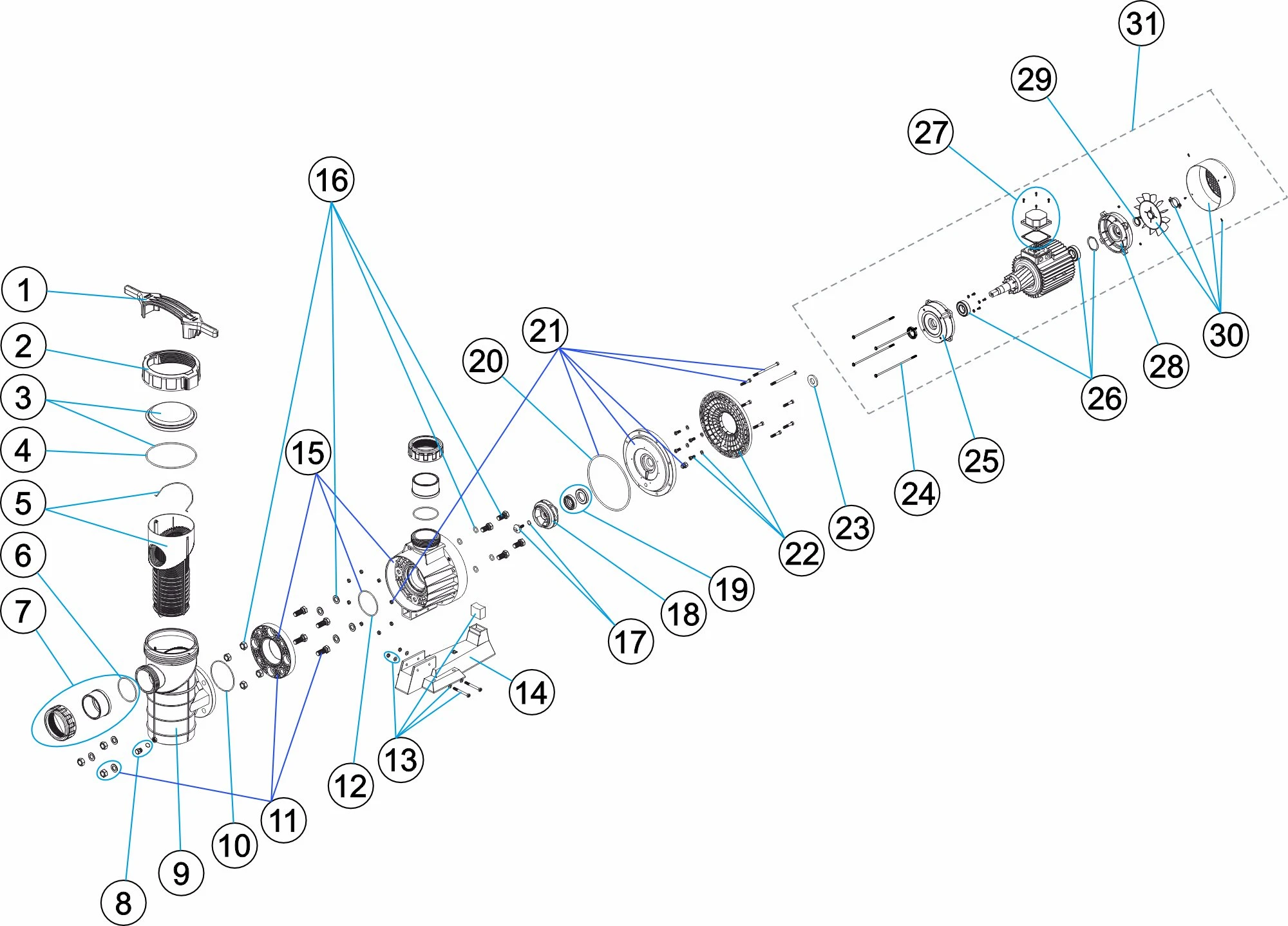 schemat złożeniowy pompy Maxim