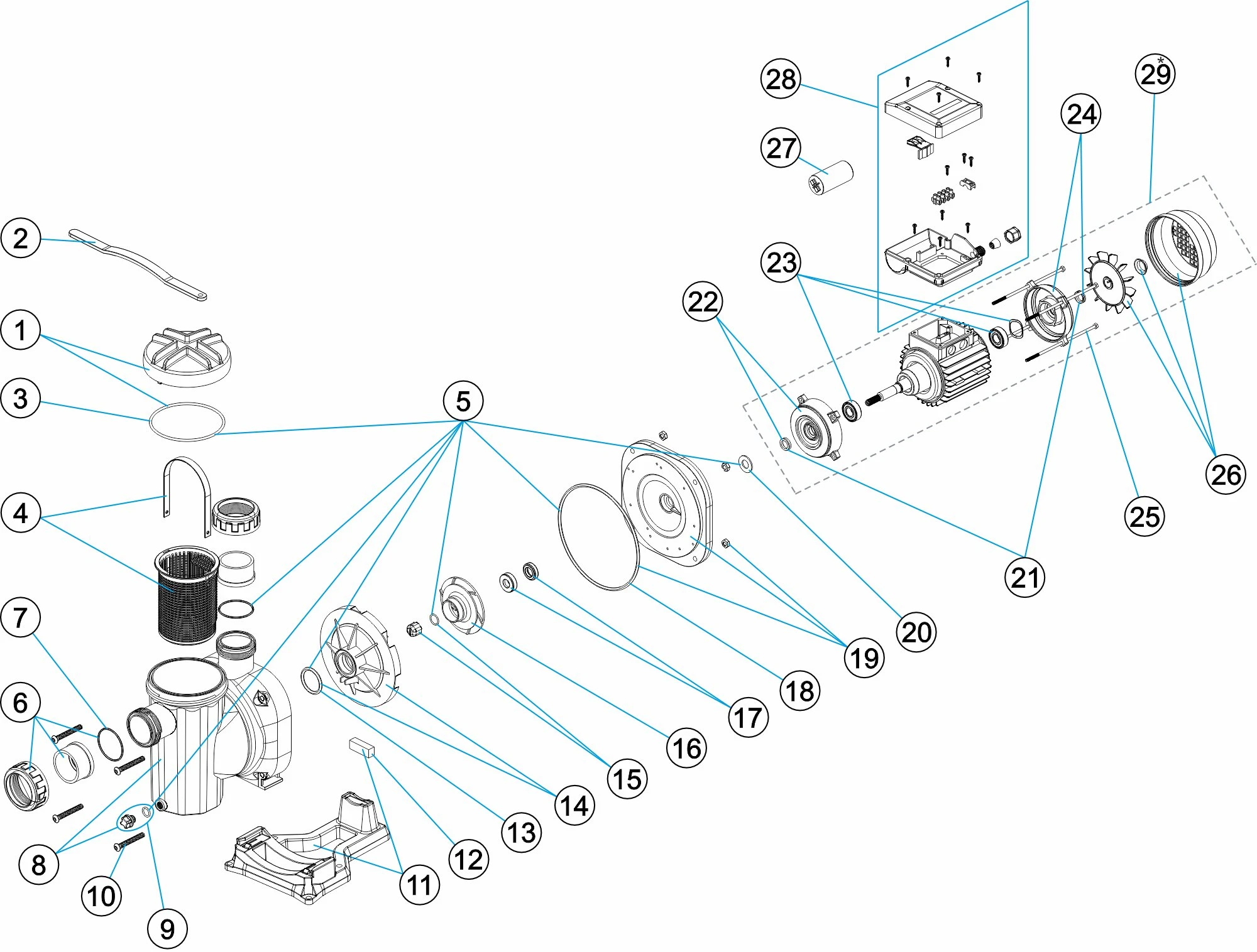 schemat złożeniowy pompy Sena